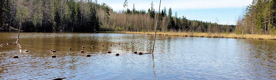 Liukukuva